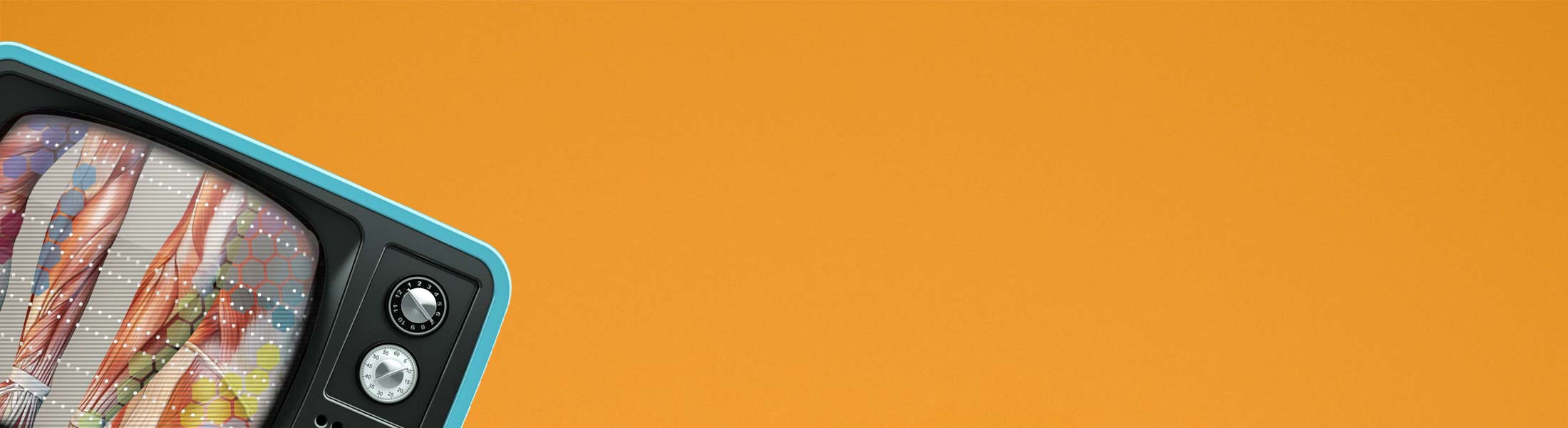 Video of Sclerotomes Pain Map