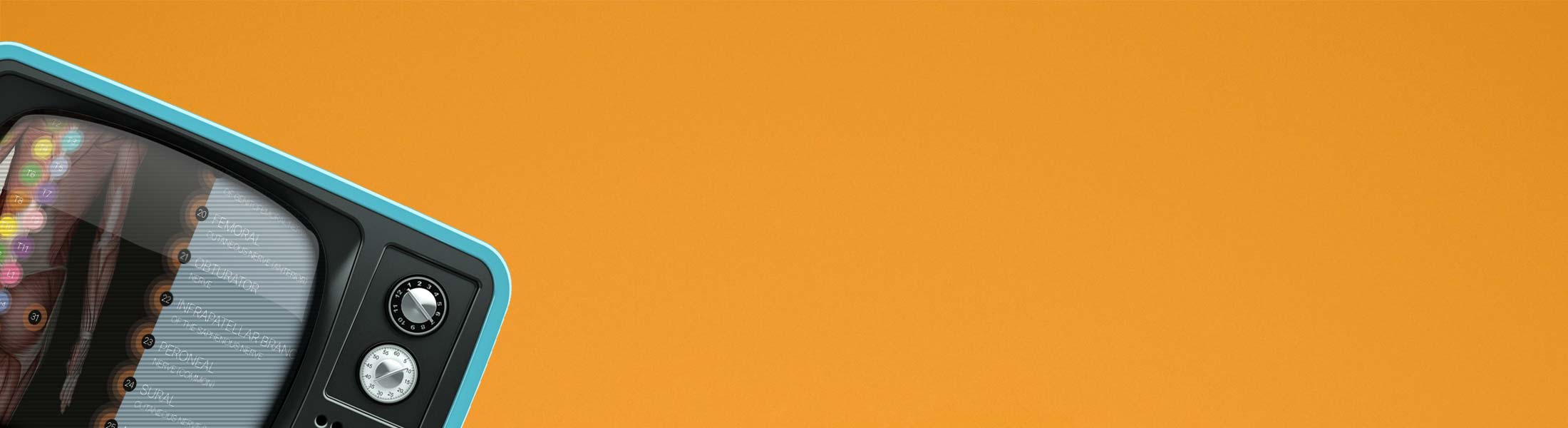 Video of Dermatomes artwork