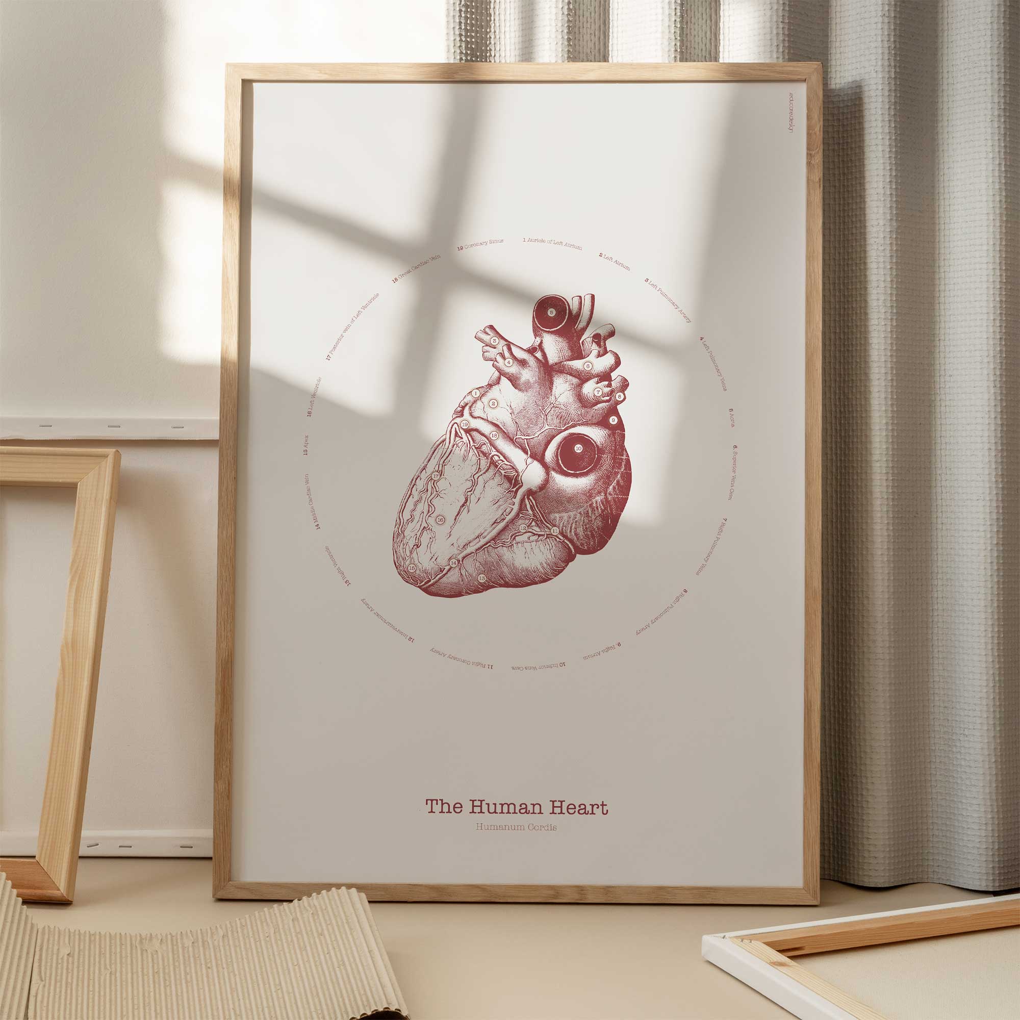 The Heart Vintage Artwork