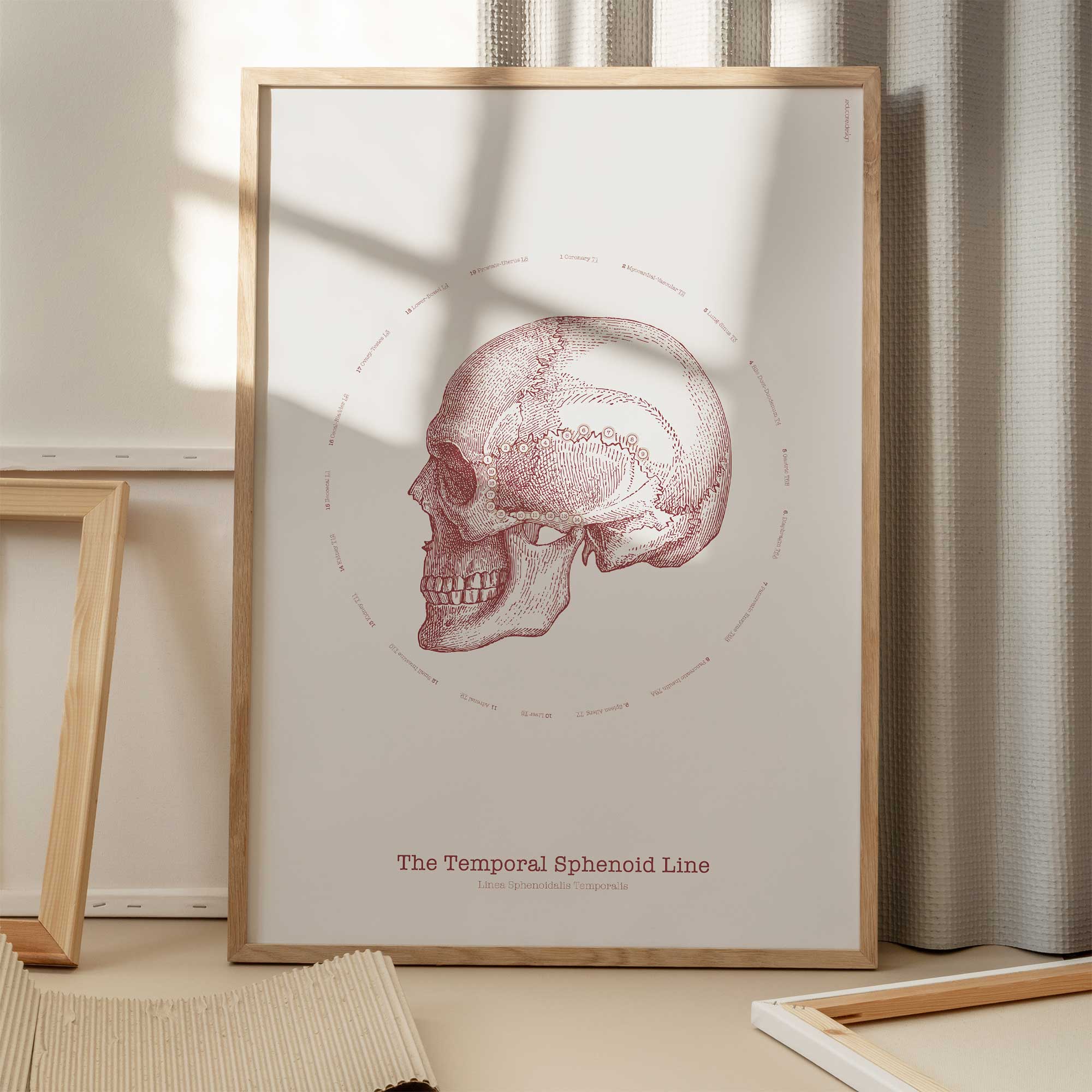 The TS-Line Vintage Artwork
