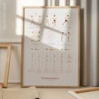 The Posture Poster