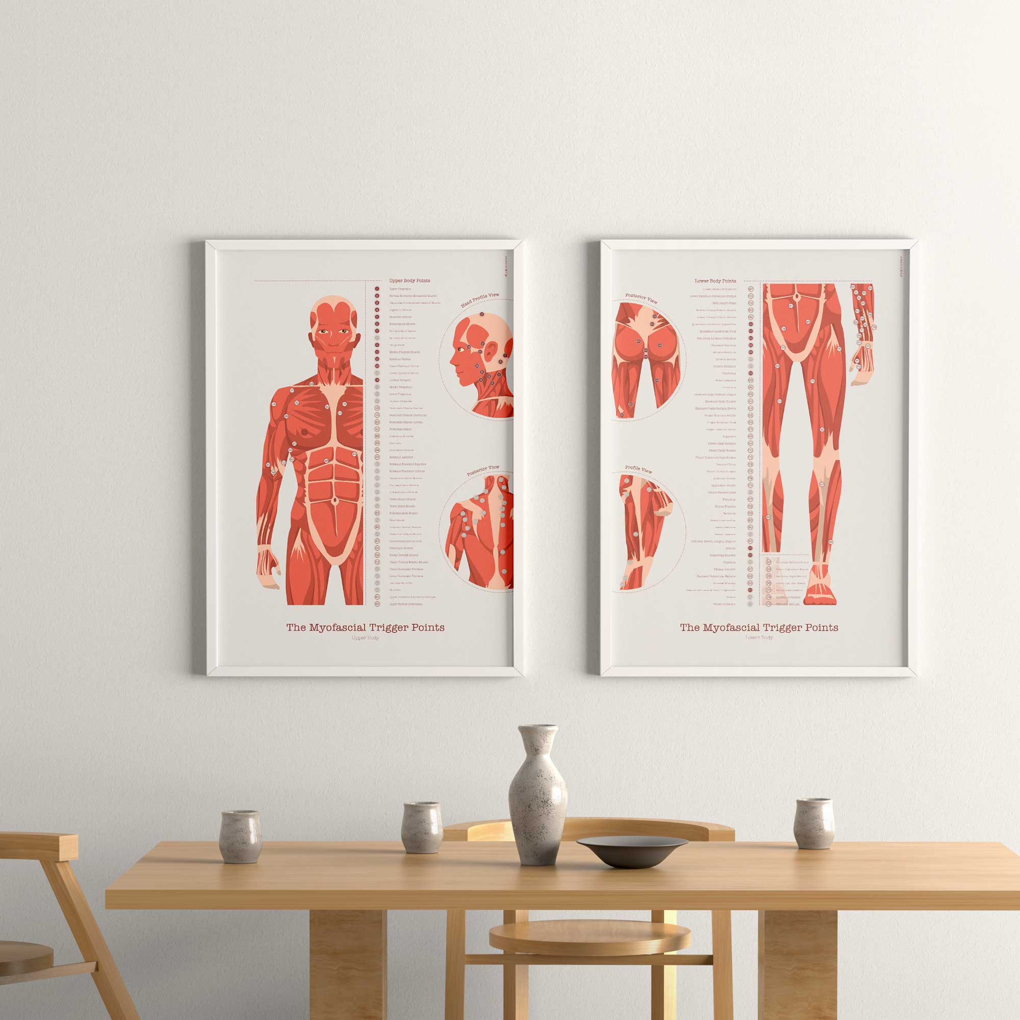 The Myofascial Trigger Points Set