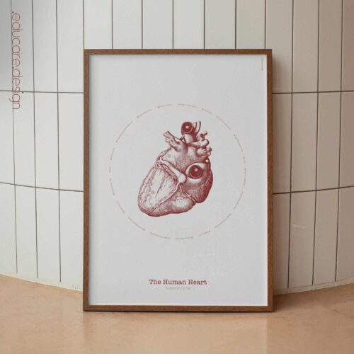 The Heart Vintage Artwork