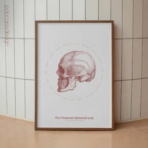 The TS-Line Vintage Artwork