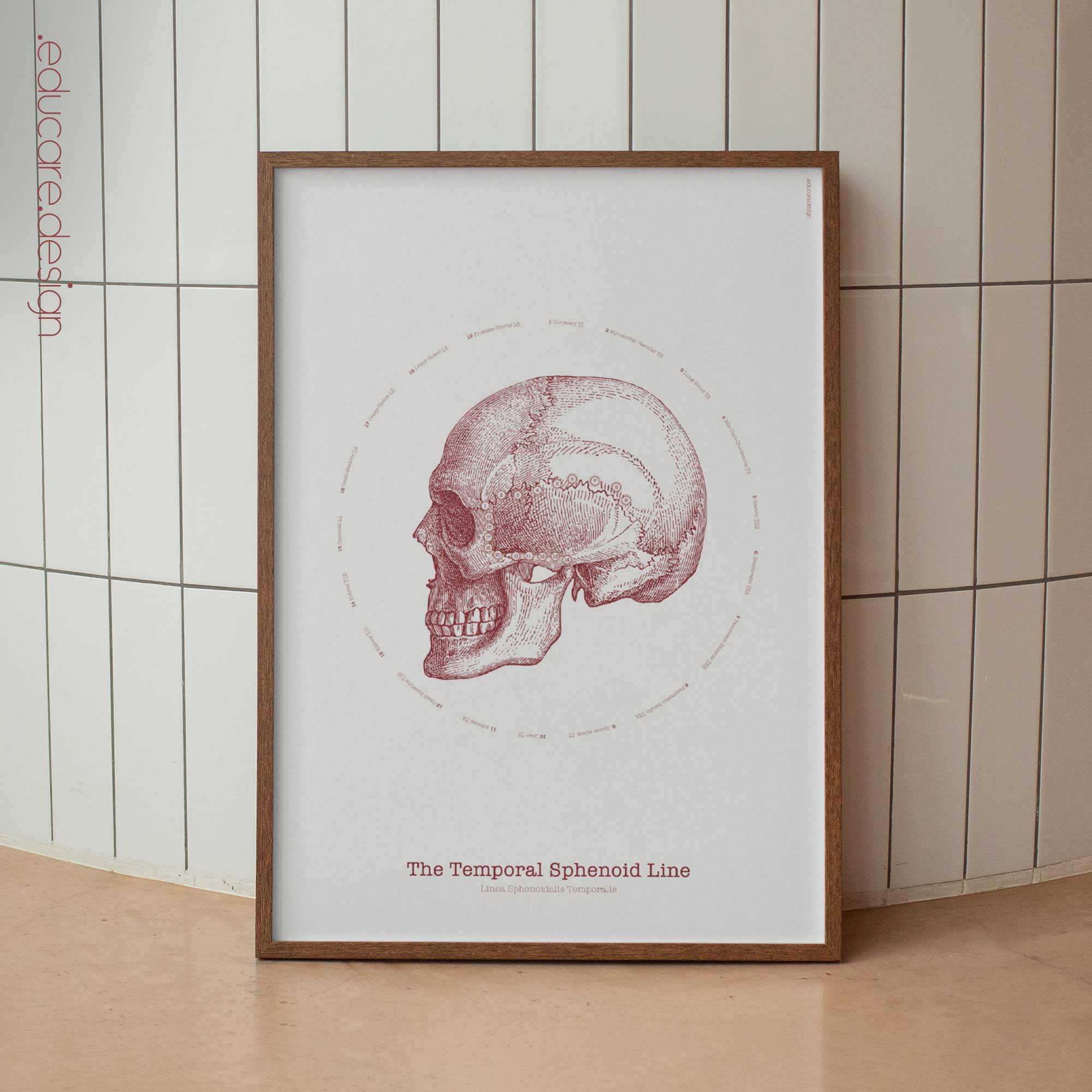 Types of Body Movements