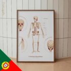 The Skeletal System Chart