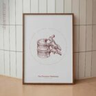 The Thoracic Vertebrae Bones Vintage Artwork