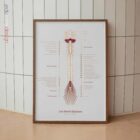 Les Nerfs Spinaux planche anatomique pour cabinets et cliniques