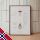 Spinalnervene anatomidiagram for klinikker