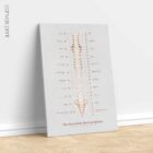 El Sistema Nervioso Autónomo