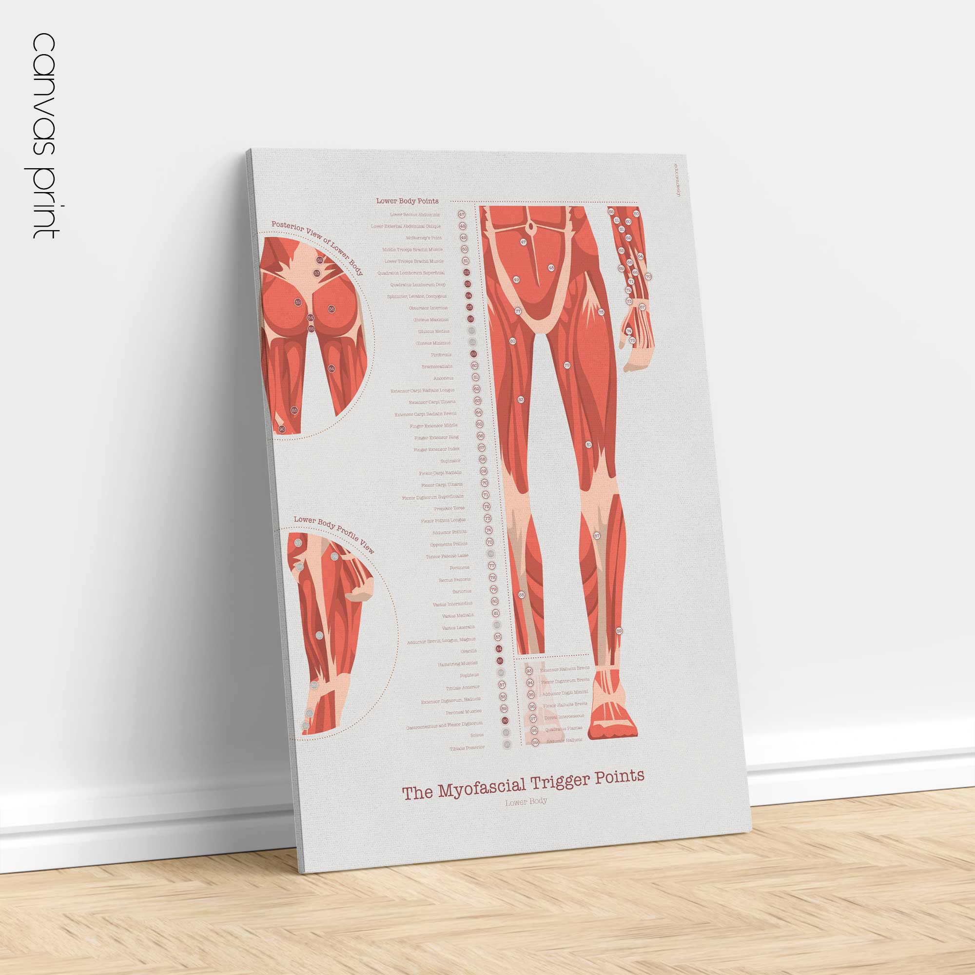 L'ensemble de Points de Déclenchement Myofasciaux