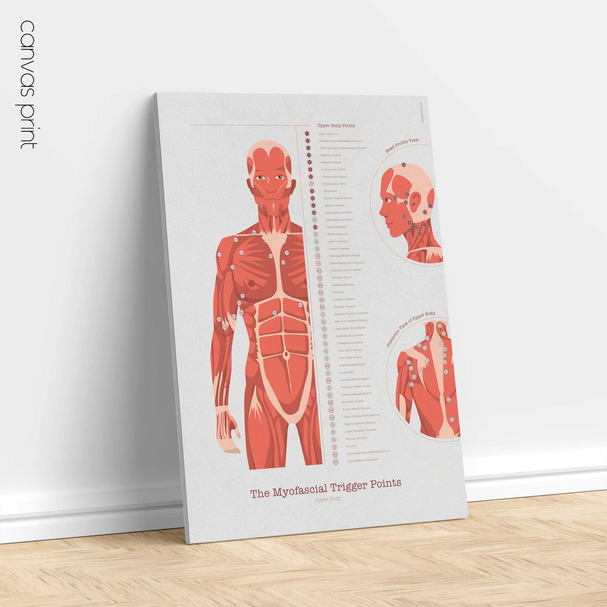 L'ensemble de Points de Déclenchement Myofasciaux