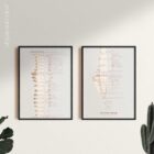 Gonstead Listings Set anatomy chart for clinics