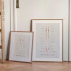 El Sistema Nervioso Autónomo