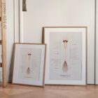 The Spinal Nerves anatomy chart for clinics