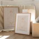 El Sistema Nervioso Autónomo