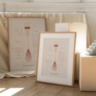 The Spinal Nerves anatomy chart for clinics