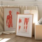 L'ensemble de Points de Déclenchement Myofasciaux