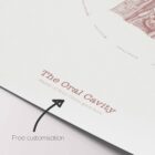 The Oral Cavity Vintage Artwork