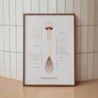 The Spinal Nerves anatomy chart for clinics