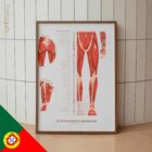 L'ensemble de Points de Déclenchement Myofasciaux