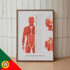 L'ensemble de Points de Déclenchement Myofasciaux