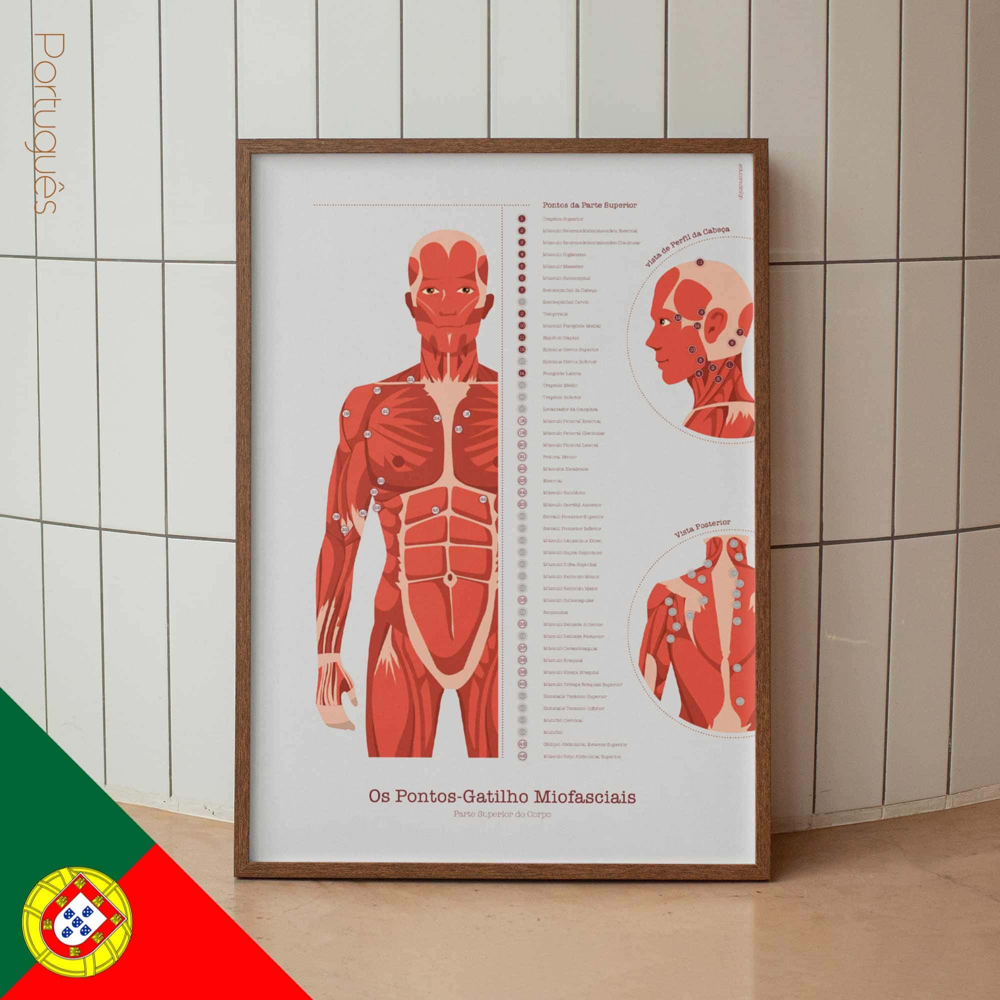 L'ensemble de Points de Déclenchement Myofasciaux