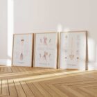 La Postura della Testa in Avanti