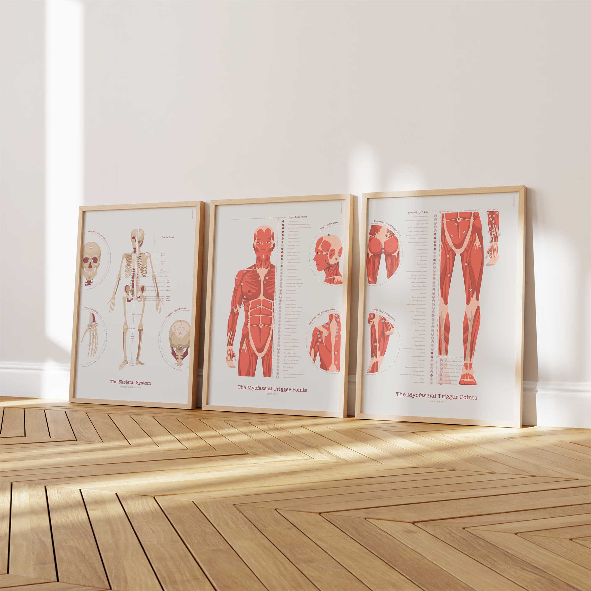 L'ensemble de Points de Déclenchement Myofasciaux