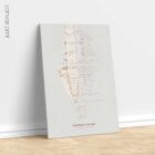 Gonstead Listings Set anatomy chart for clinics