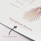 The Spinal Nerves anatomy chart for clinics