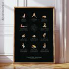 The Lower Back Exercises anatomy chart for clinics