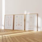 Anatomía minimalista en www.educare.design