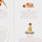The Lower Back Exercises anatomy chart for clinics
