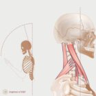 La Postura della Testa in Avanti