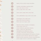 The Spinal Nerves anatomy chart for clinics
