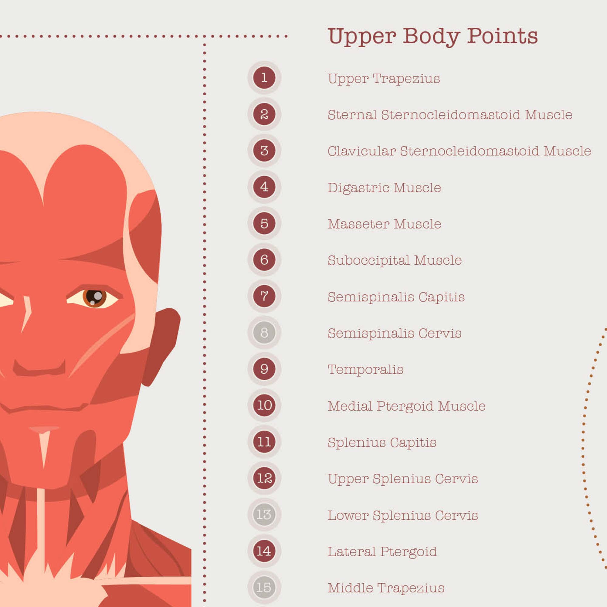 L'ensemble de Points de Déclenchement Myofasciaux