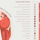 L'ensemble de Points de Déclenchement Myofasciaux