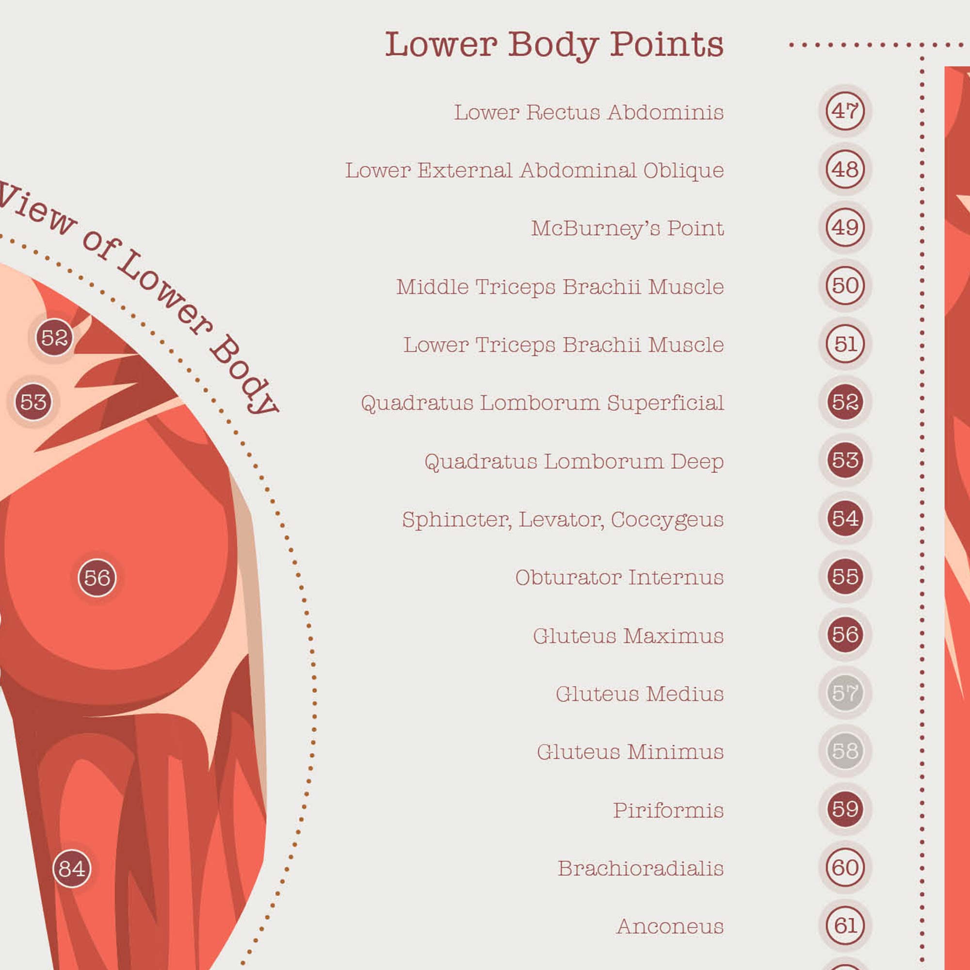 L'ensemble de Points de Déclenchement Myofasciaux