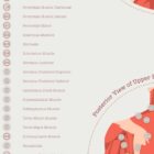 L'ensemble de Points de Déclenchement Myofasciaux