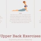 Exercices pour le haut du dos