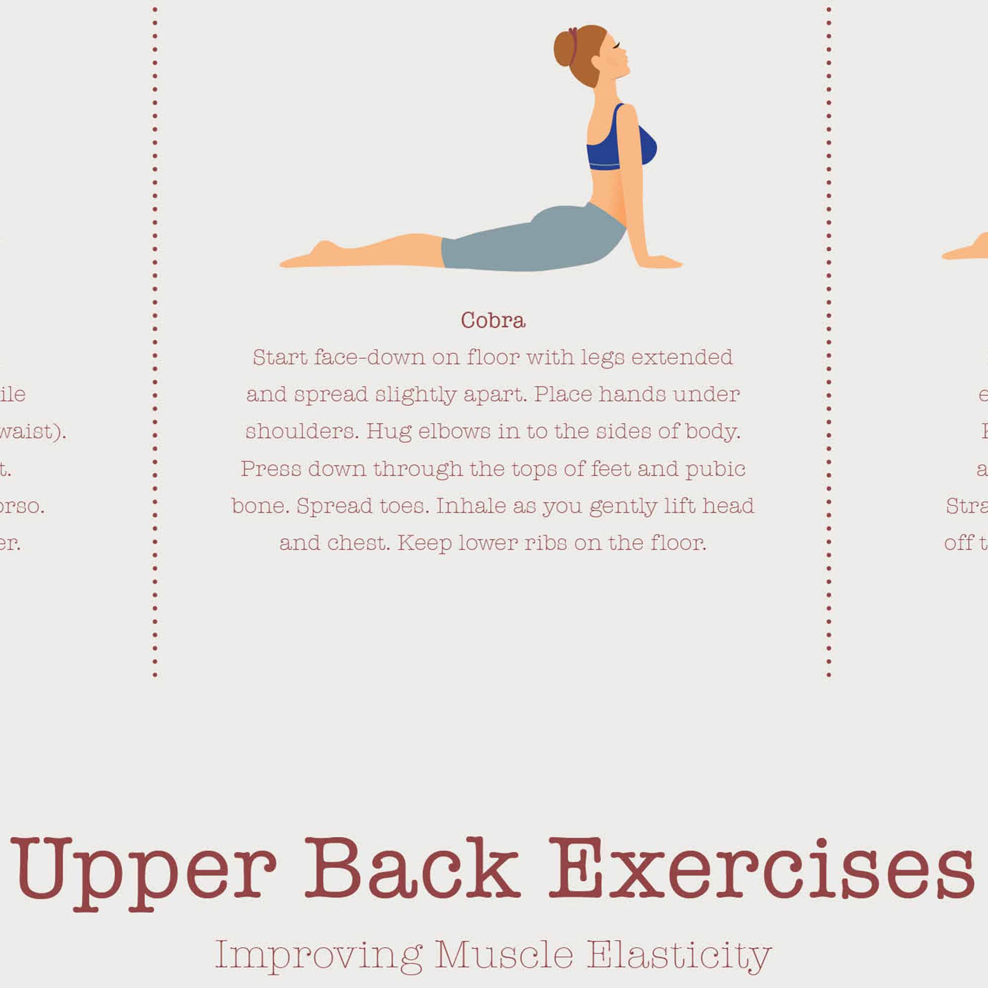 Exercices pour le haut du dos