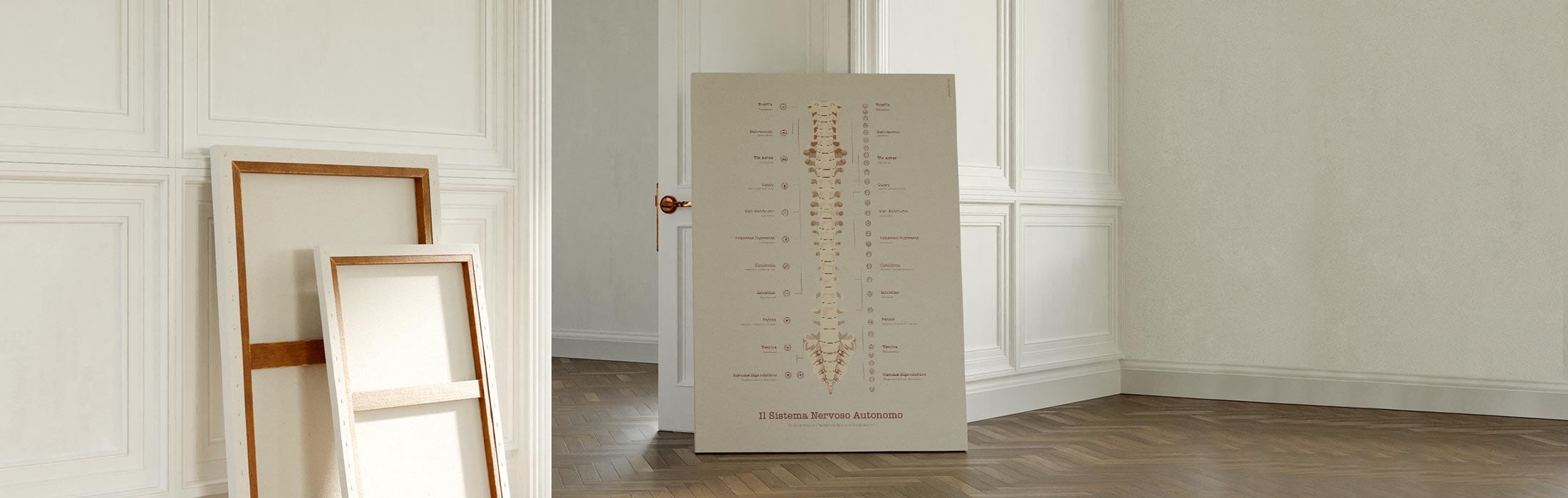 Il Sistema Nervoso Autonomo