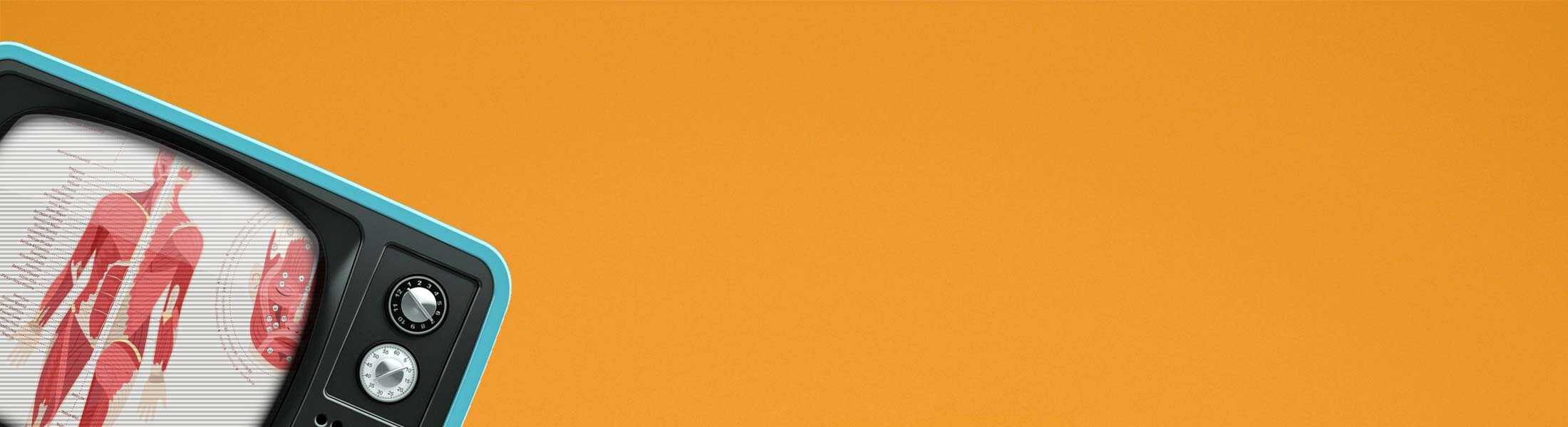 The Muscular System Chart