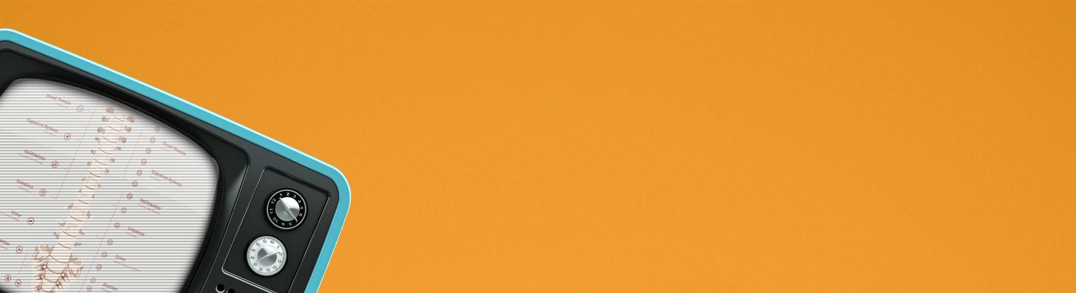 Il Sistema Nervoso Autonomo