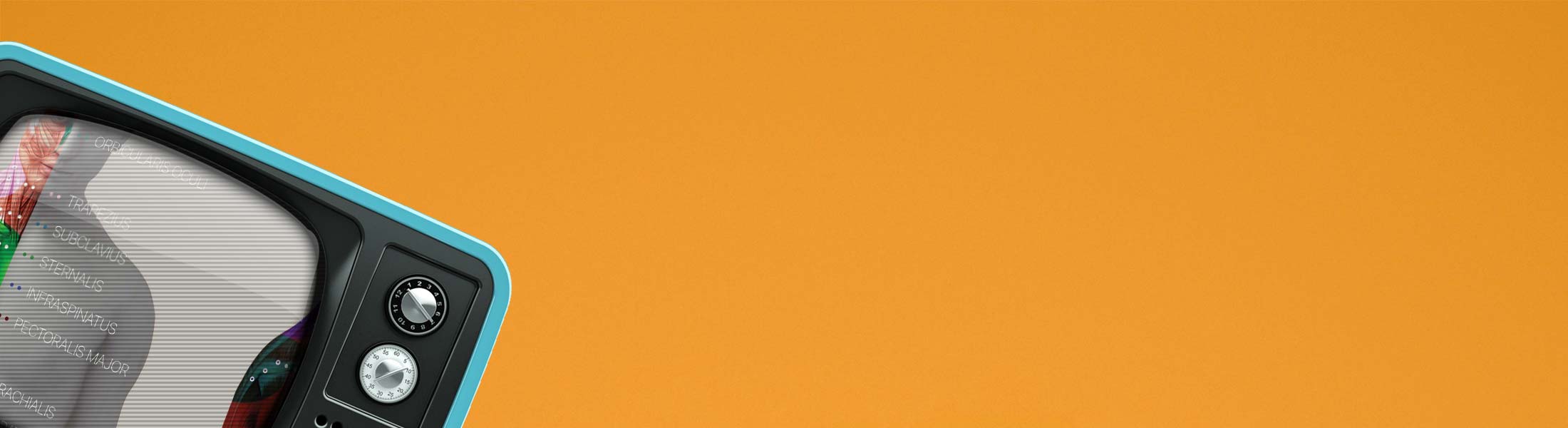 Myofasziale Triggerpunkte Tabelle