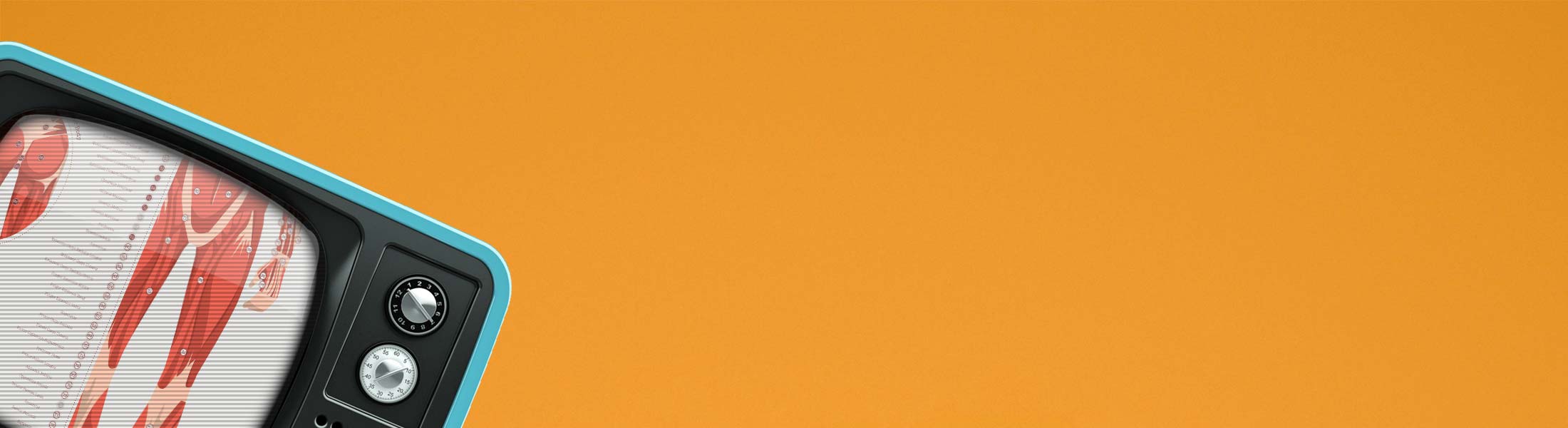 The Myofascial Trigger Points Set