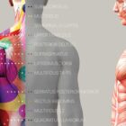 Myofasziale Triggerpunkte Tabelle