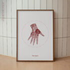 The Hand anatomy chart for clinics