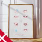 Sådan Børster du Dine Tænder anatomidiagram til klinikker